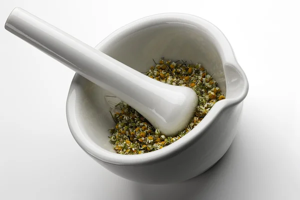 stock image White marble mortar and pestle with chamomile inside