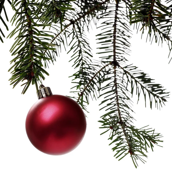 Boże Narodzenie dekoracje na gałęzi — Zdjęcie stockowe