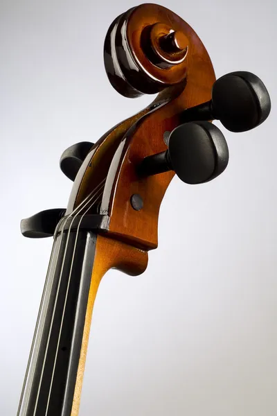 Cello Neck Stock Photo