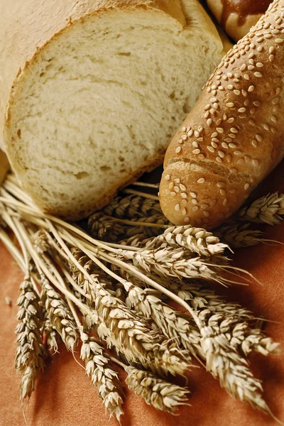 Fresh Bread Stock Image