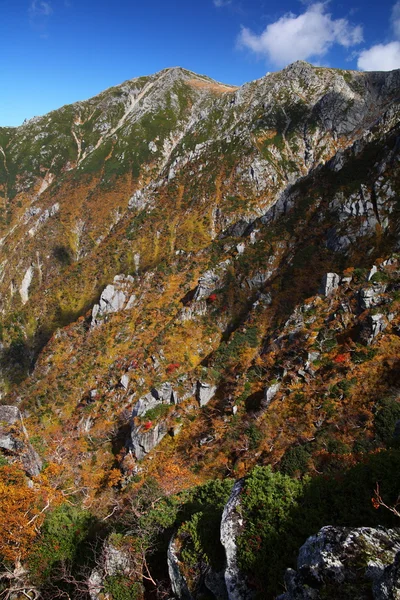 Autumn mountain — Stock Photo, Image