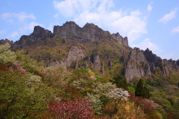 봄의 바위 산 — 스톡 사진