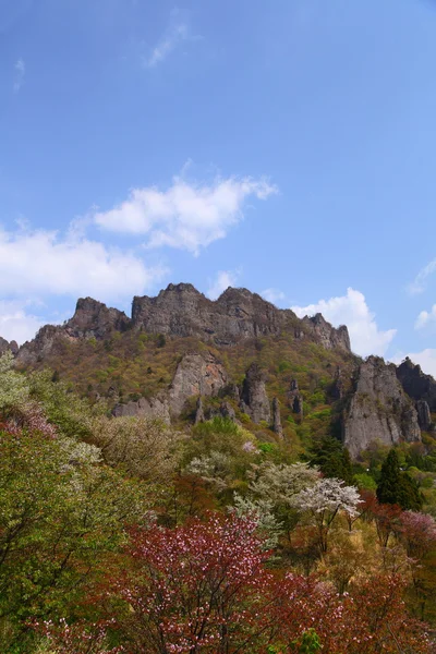 春の山の岩山 — ストック写真