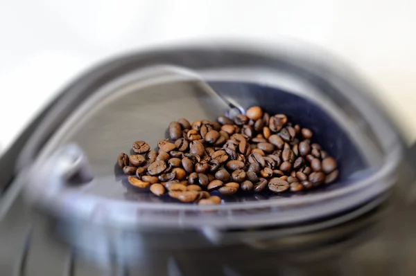 Freshly roasted coffee beans — Stock Photo, Image