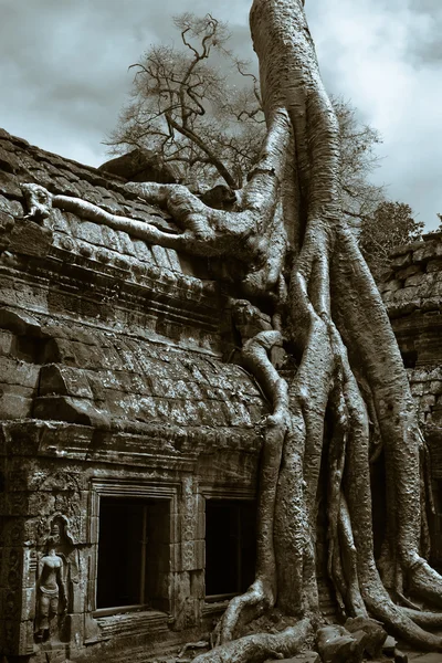 Ruïnes over Cambodja — Stockfoto