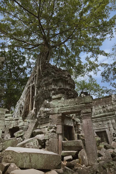 Angkor — Stock Fotó
