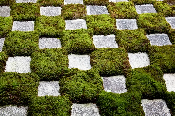 stock image Zen garden