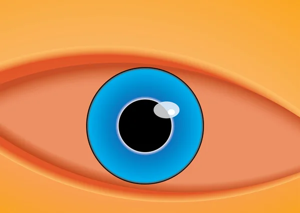 Ilustración vectorial del ojo — Vector de stock