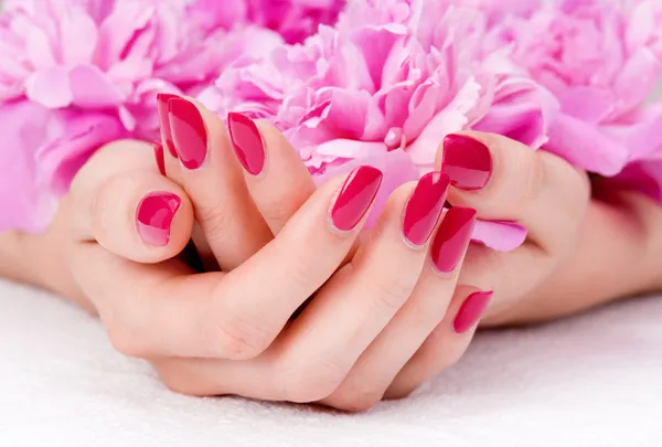 Pink manicure and flower — Stock Photo, Image