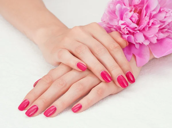 Manicure rosa e un fiore Immagini Stock Royalty Free