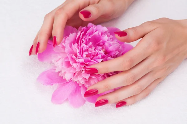 Manicure rosa e uma flor — Fotografia de Stock