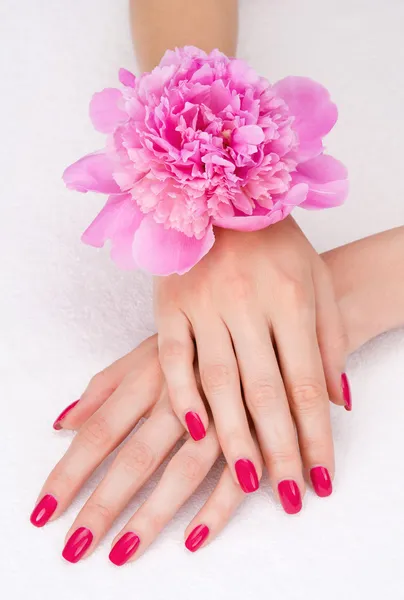 Bovenaanzicht van vrouw handen met roze manicure en bloem — Stockfoto