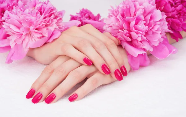 Maniküre mit rosa Fingernägeln und Pfingstrosenblüten lizenzfreie Stockfotos