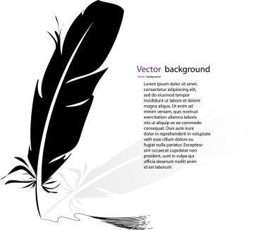 Black-and-white feather backgrounds. Vector format clipart