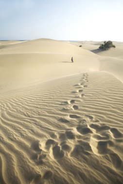 Footsteps at the desert clipart