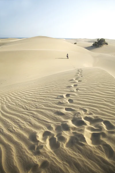 Footsteps at the desert — Stock Photo, Image