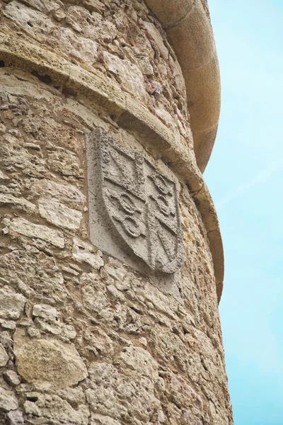 Щит замка Чинчилла — стоковое фото