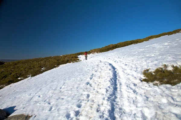 Kobieta z powrotem na ścieżka śnieg — Zdjęcie stockowe