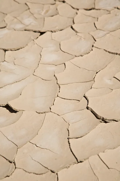 Woestijn grond close-up — Stockfoto