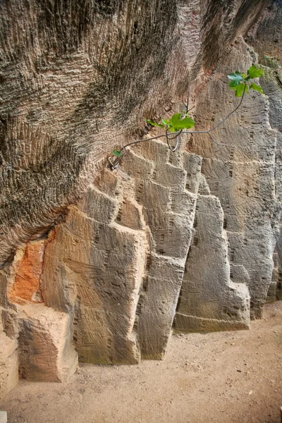 Mur de texture sculptée — Photo
