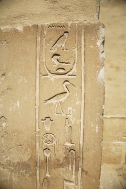 Egyptian hieroglyphic clipart