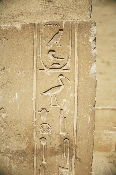 Єгипетський ієрогліфом — стокове фото