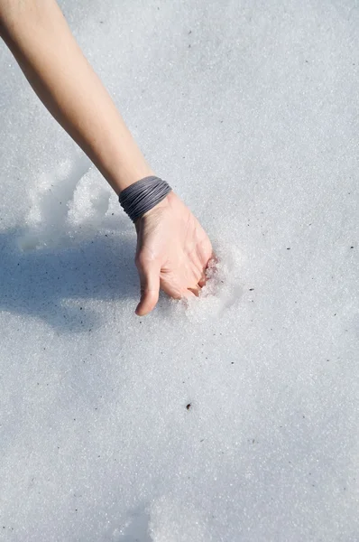 Hand into snow — Stock Photo, Image