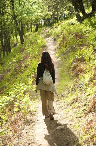 Hiking on a path against sun — Stock Photo, Image