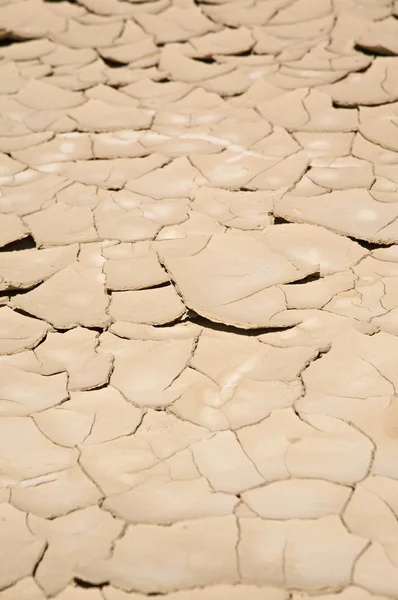 Detalhe do solo seco — Fotografia de Stock