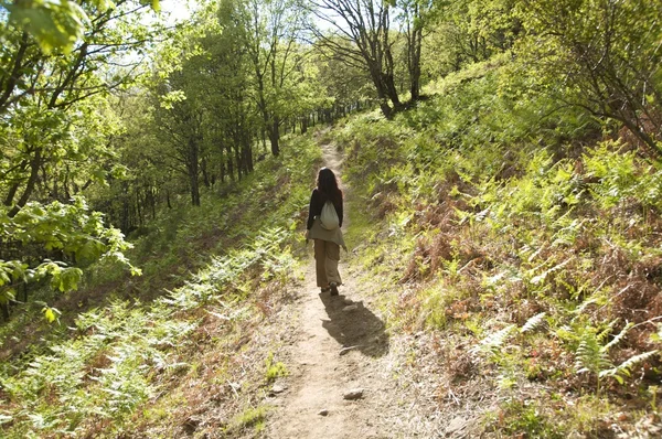 Hiking at green nature — Stock Photo, Image