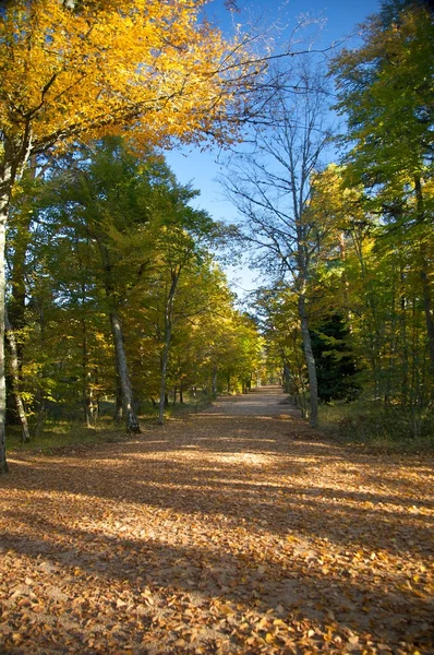 Grande sentiero parco autunno — Foto Stock