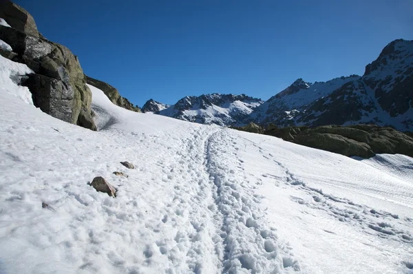Sentiero della neve solitaria — Foto Stock