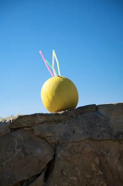 Melone zum Trinken — Stockfoto