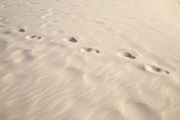 Jedna osoba ślady na piasku — Zdjęcie stockowe