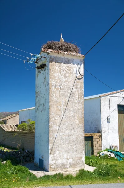 Torre com ninho de cegonha — Fotografia de Stock