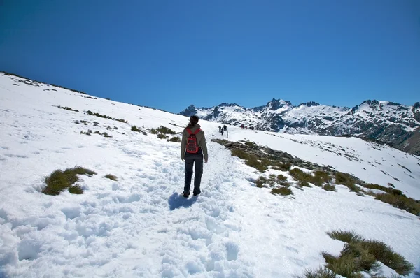 Trekking a Gredos montagne — Foto Stock