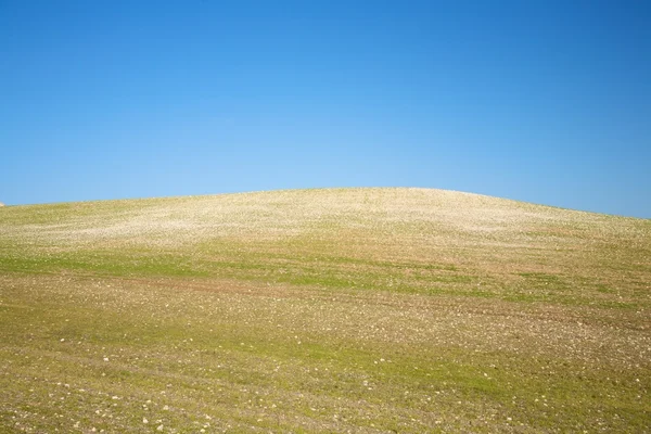 Hill cultivation — Stock Photo, Image