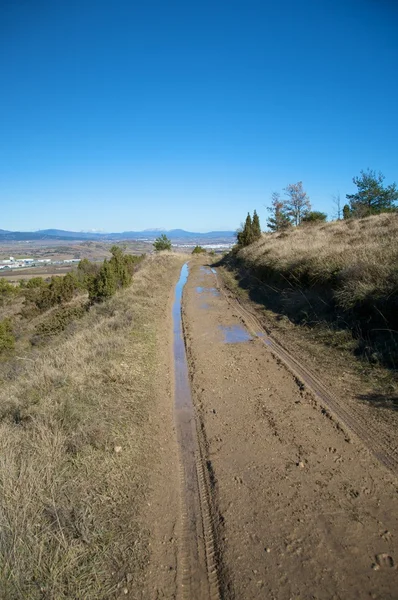 Mud path with track — Stock Photo, Image