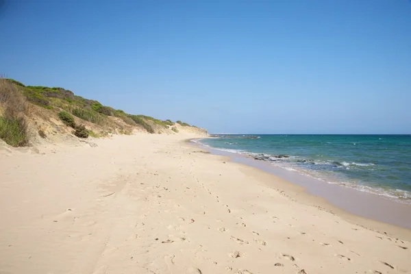 Пунта Paloma пісок пляжу — стокове фото