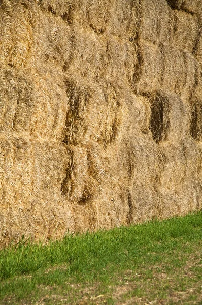 干し草の壁 — ストック写真