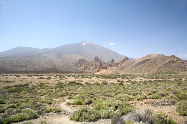 Teide panoramik