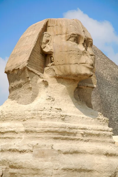 Sphinx huvud — Stockfoto