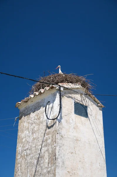Stork boet — Stockfoto