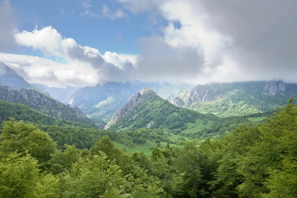 Prachtige vallei in picos de europa — Stockfoto