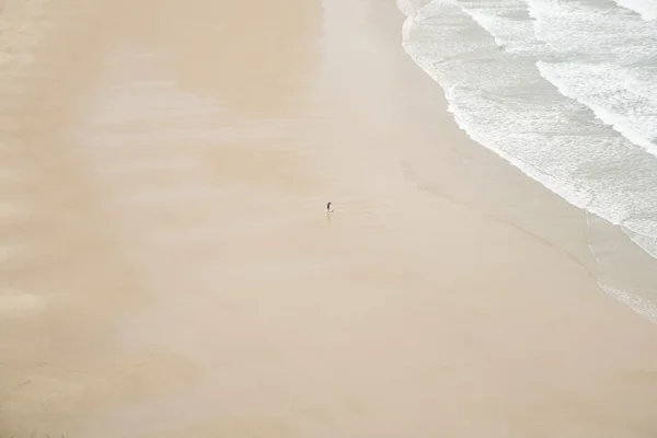 Одинокий серфер на берегу моря — стоковое фото