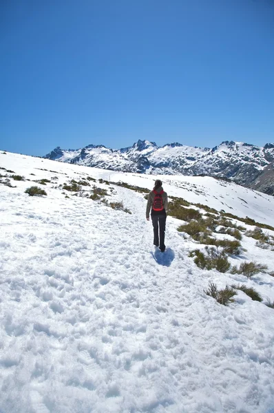 Lonely woman trekking on snow — Stock Photo, Image