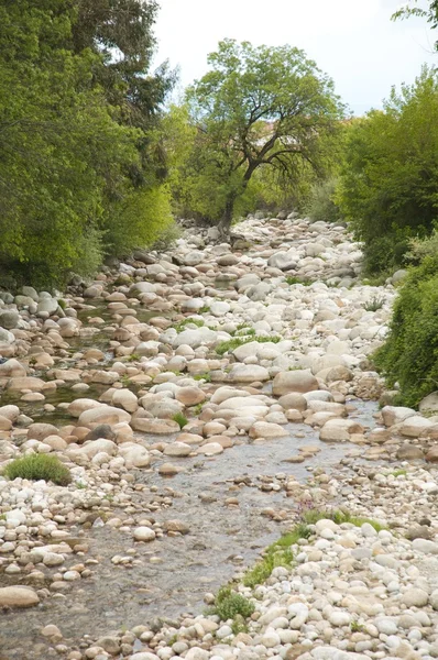 Река, полная камней — стоковое фото