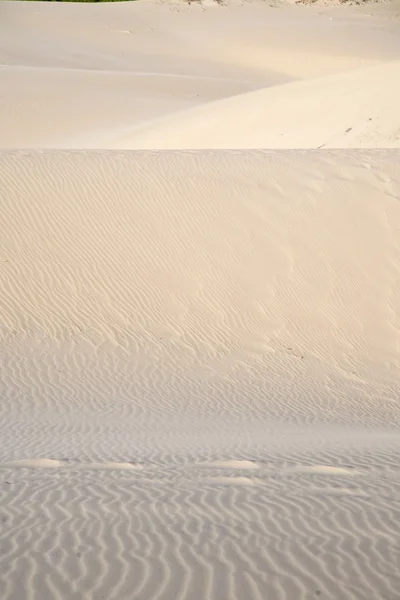 Des pas sur une grande dune de sable — Photo