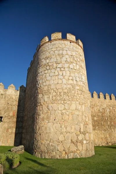 Вежа з бійницями і травою — стокове фото