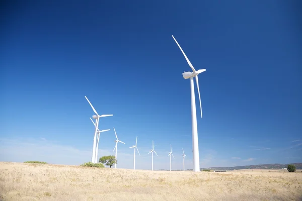 Bílá větrná energie mlýny — Stock fotografie